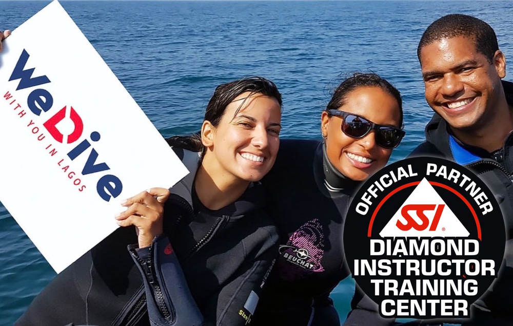 Professional diver image